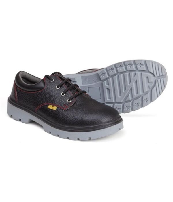 JS62 SAFETY SHOES